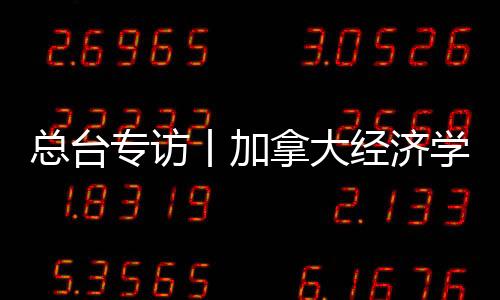 總臺專訪丨加拿大經濟學家：地緣政治緊張局勢加速“去美元化”趨勢