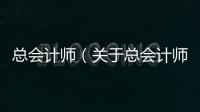 總會計師（關于總會計師的基本情況說明介紹）