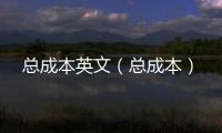 總成本英文（總成本）