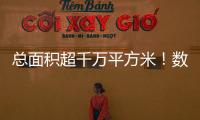 總面積超千萬平方米！數字經濟、新能源汽車等題材展會增長迅速