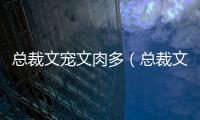 總裁文寵文肉多（總裁文寵文肉多）