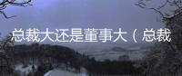 總裁大還是董事大（總裁大還是董事長(zhǎng)大）