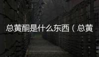 總黃酮是什么東西（總黃酮）