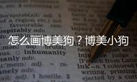 怎么畫博美狗？博美小狗怎么畫簡筆畫
