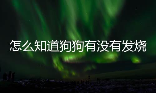 怎么知道狗狗有沒有發(fā)燒感冒？狗狗發(fā)燒能自愈嗎