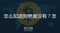 怎么知道狗絕育沒有？怎么判斷狗絕育