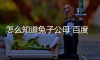 怎么知道兔子公母 百度網(wǎng)盤(怎么才能知道兔子公母)