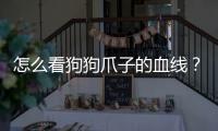 怎么看狗狗爪子的血線？怎么看狗狗爪子是否受傷