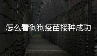 怎么看狗狗疫苗接種成功？怎么看狗狗疫苗是不是假的