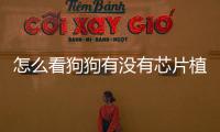 怎么看狗狗有沒有芯片植入(怎么看狗狗有沒有細(xì)小)