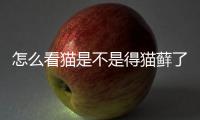 怎么看貓是不是得貓?zhí)\了，怎么判斷貓是不是得了貓?zhí)\