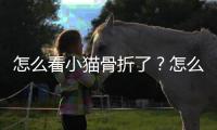 怎么看小貓骨折了？怎么看貓咪骨折