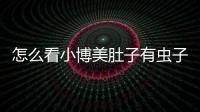 怎么看小博美肚子有蟲子了沒(怎么看小博美肚子有蟲子還是沒蟲)