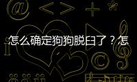 怎么確定狗狗脫臼了？怎么判斷狗狗脫臼