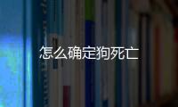 怎么確定狗死亡