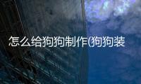 怎么給狗狗制作(狗狗裝飾品制作方法)