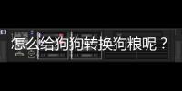 怎么給狗狗轉(zhuǎn)換狗糧呢？怎么給狗狗轉(zhuǎn)換狗糧的味道