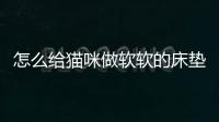 怎么給貓咪做軟軟的床墊？給小貓做床簡單一點的
