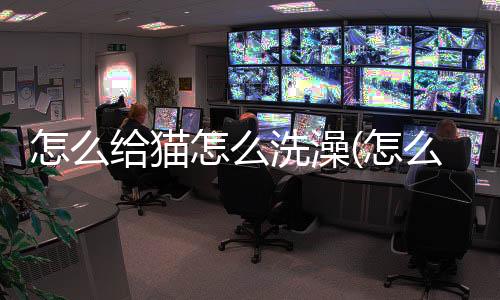 怎么給貓怎么洗澡(怎么貓怎么出現大廳)