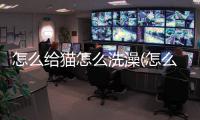 怎么給貓怎么洗澡(怎么貓怎么出現大廳)