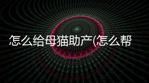 怎么給母貓助產(怎么幫貓助產)