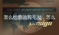 怎么給泰迪剪毛發，怎么給泰迪剪毛
