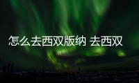怎么去西雙版納 去西雙版納路線