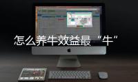 怎么養(yǎng)牛效益最“牛”