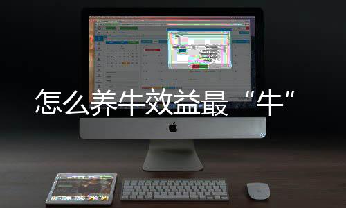 怎么養牛效益最“牛”