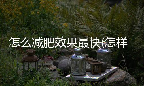 怎么減肥效果最快(怎樣減肥最快最有效)