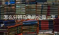 怎么分辨烏龜?shù)墓福趺捶直鏋觚敼?/></div></a><h2 class=