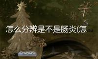 怎么分辨是不是腸炎(怎么分辨是不是細小)