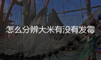 怎么分辨大米有沒有發霉，怎樣辨別大米是否發霉