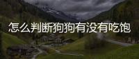 怎么判斷狗狗有沒有吃飽(怎么判斷狗狗吃飽沒)
