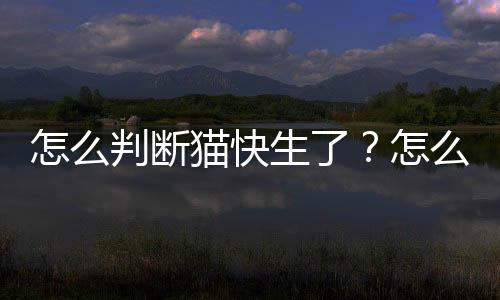 怎么判斷貓快生了？怎么判斷貓什么時候生