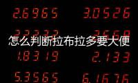 怎么判斷拉布拉多要大便了？怎么判斷拉布拉多要大便的癥狀