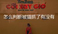 怎么判斷被貓抓了有沒有事？怎么判斷被貓抓了有沒有破皮