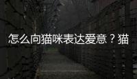 怎么向貓咪表達愛意？貓咪表達愛意的聲音