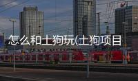 怎么和土狗玩(土狗項目怎么玩)