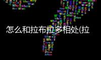 怎么和拉布拉多相處(拉布拉多和貓可以相處嗎)