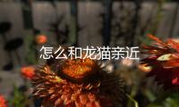 怎么和龍貓親近
