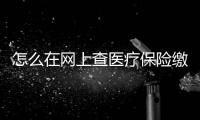 怎么在網(wǎng)上查醫(yī)療保險(xiǎn)繳費(fèi)記錄