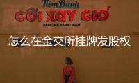 怎么在金交所掛牌發股權類產品