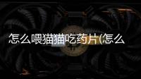 怎么喂貓貓吃藥片(怎么給貓貓吃藥片)