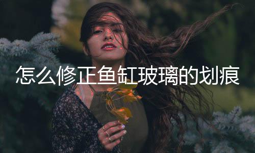 怎么修正魚缸玻璃的劃痕  玻璃魚缸材質分為哪幾種,行業(yè)資訊