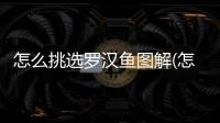 怎么挑選羅漢魚圖解(怎么挑選羅漢魚苗圖文介紹)