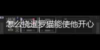 怎么撓暹羅貓能使他開心呢(暹羅貓怎么抓)