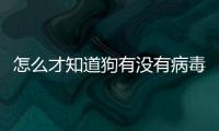 怎么才知道狗有沒有病毒？怎么確定狗狗有沒有病