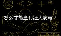 怎么才能查有狂犬病毒？怎么查得了狂犬病