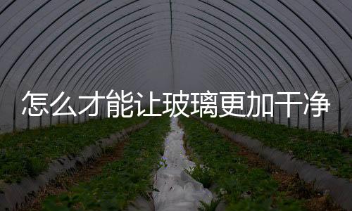 怎么才能讓玻璃更加干凈  窗戶玻璃怎么擦才更干凈,行業資訊